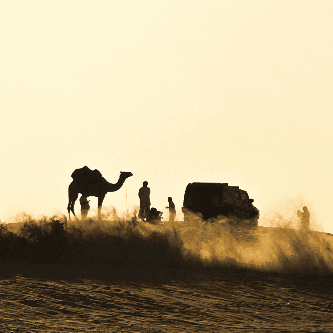Silhouettes of tourists and a camel in a desert at sunset, showcasing an exciting travel experience.